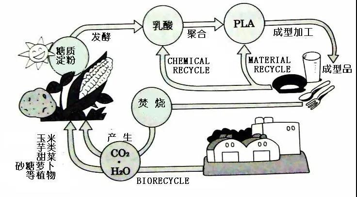 可生物降解環(huán)保塑料可以回收再利用嗎？(圖4)