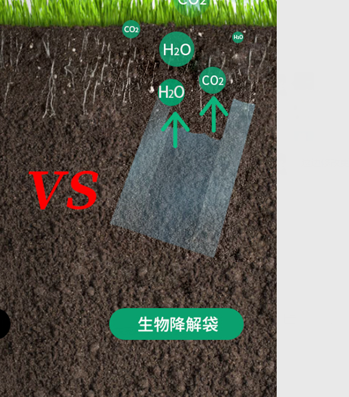 可生物降解環(huán)保塑料可以回收再利用嗎？(圖1)