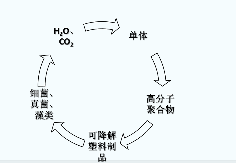 什么是可生物降解塑料？(圖1)