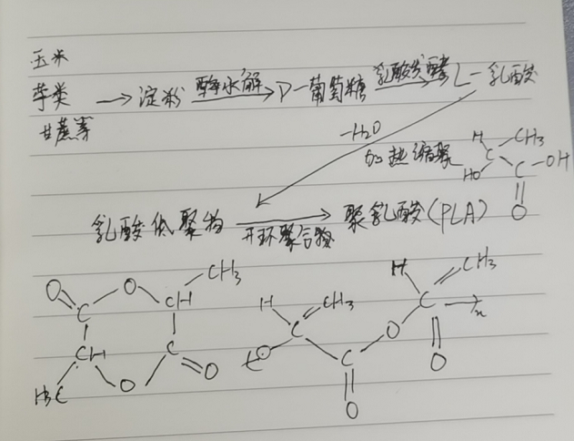生物降解袋中的PLA是如何制得的？(圖2)